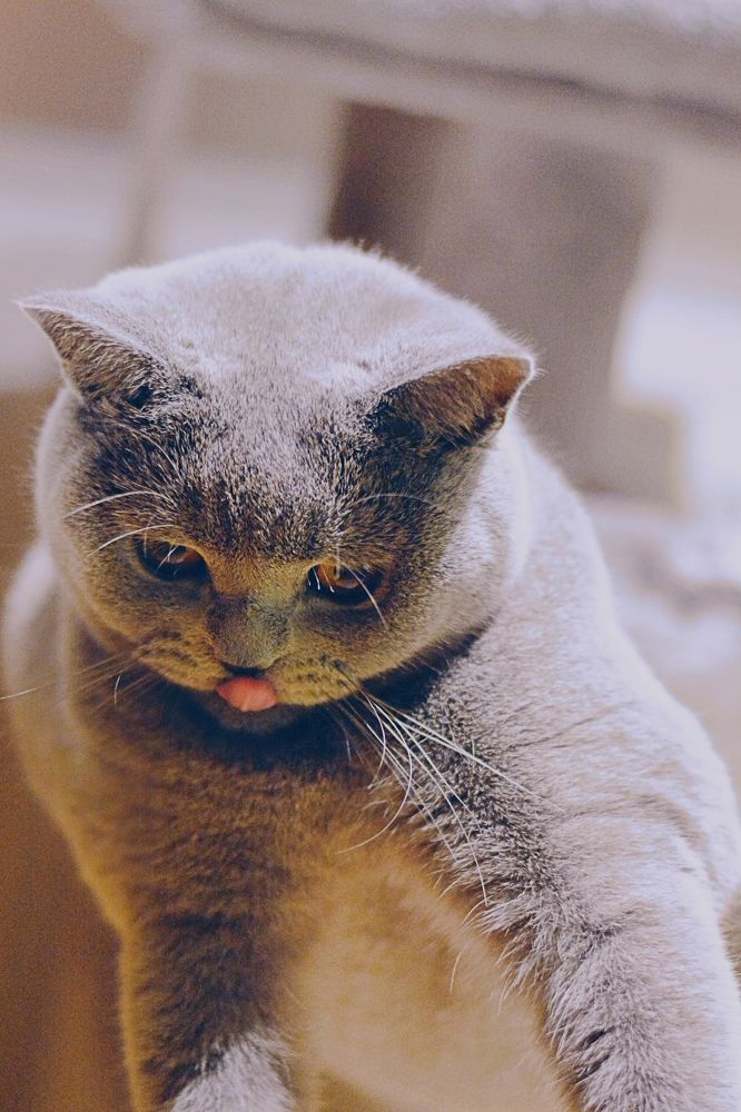 Photograph by Marlene Da Silva