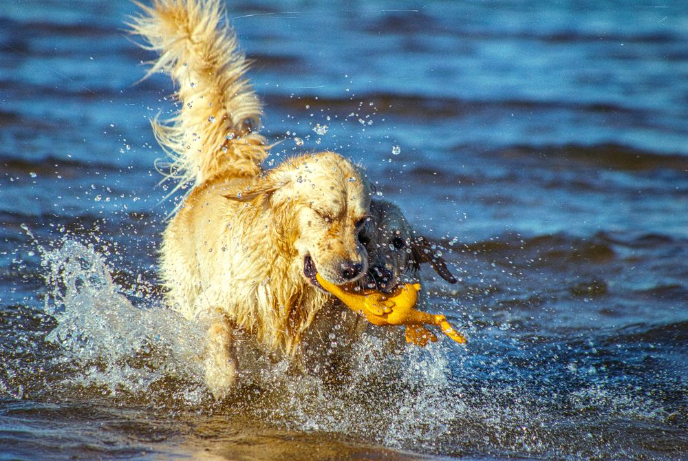 Photograph by Gennadiy Slezkin