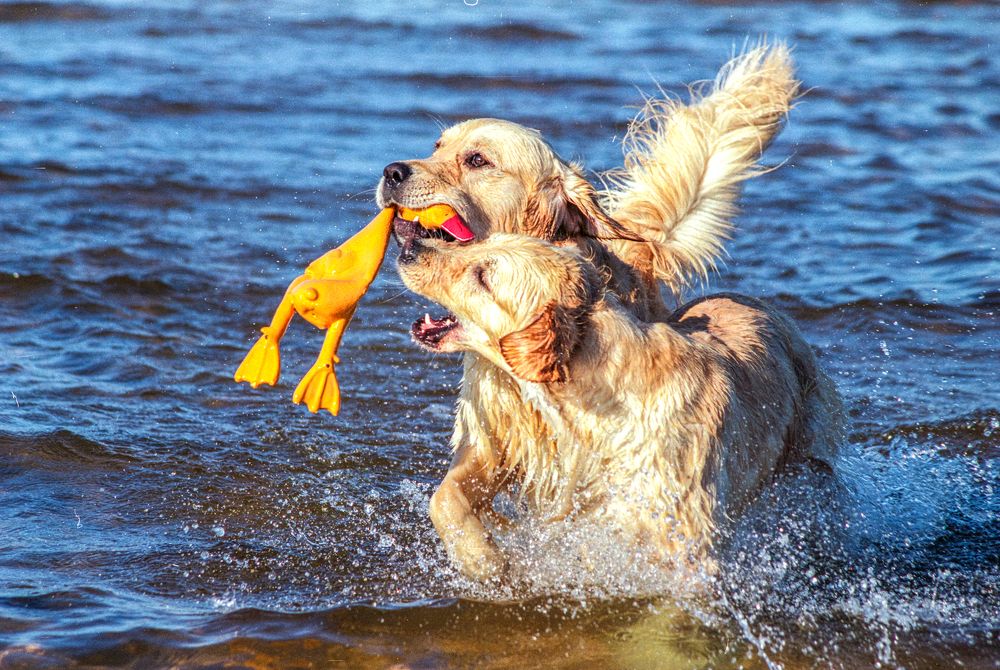 Photograph by Gennadiy Slezkin