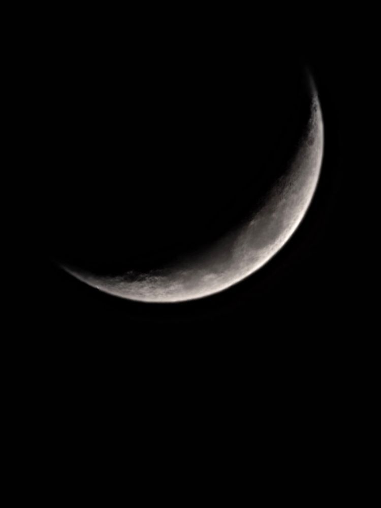 Photo #11633139