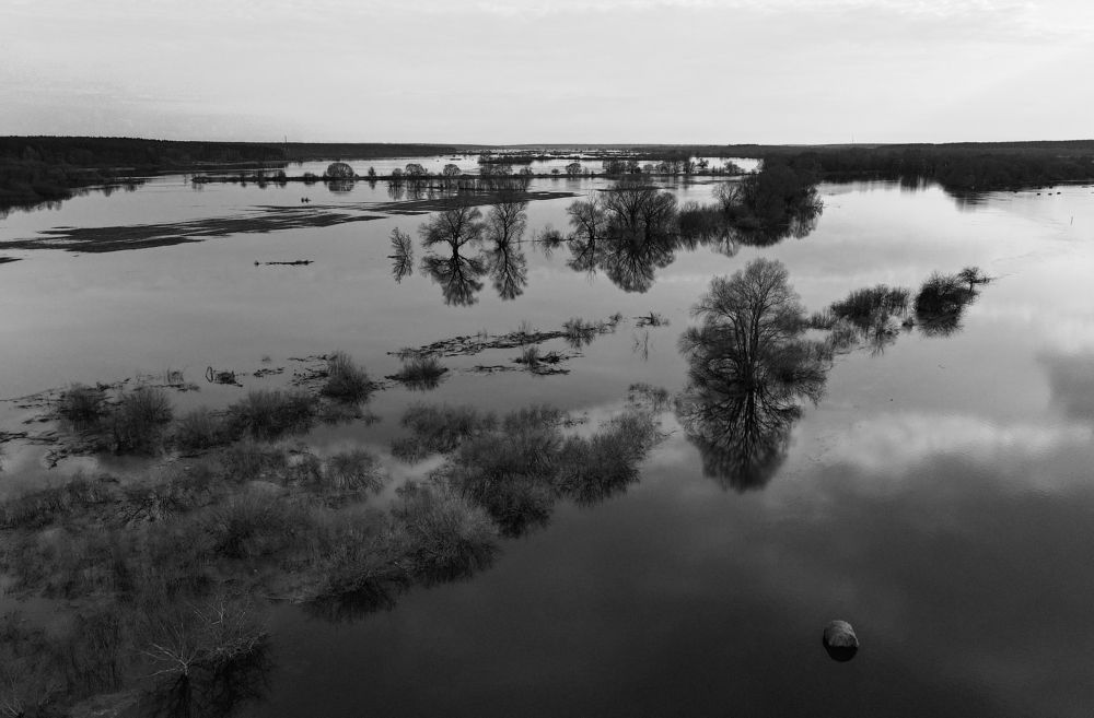 Photograph by Александр Гребенев