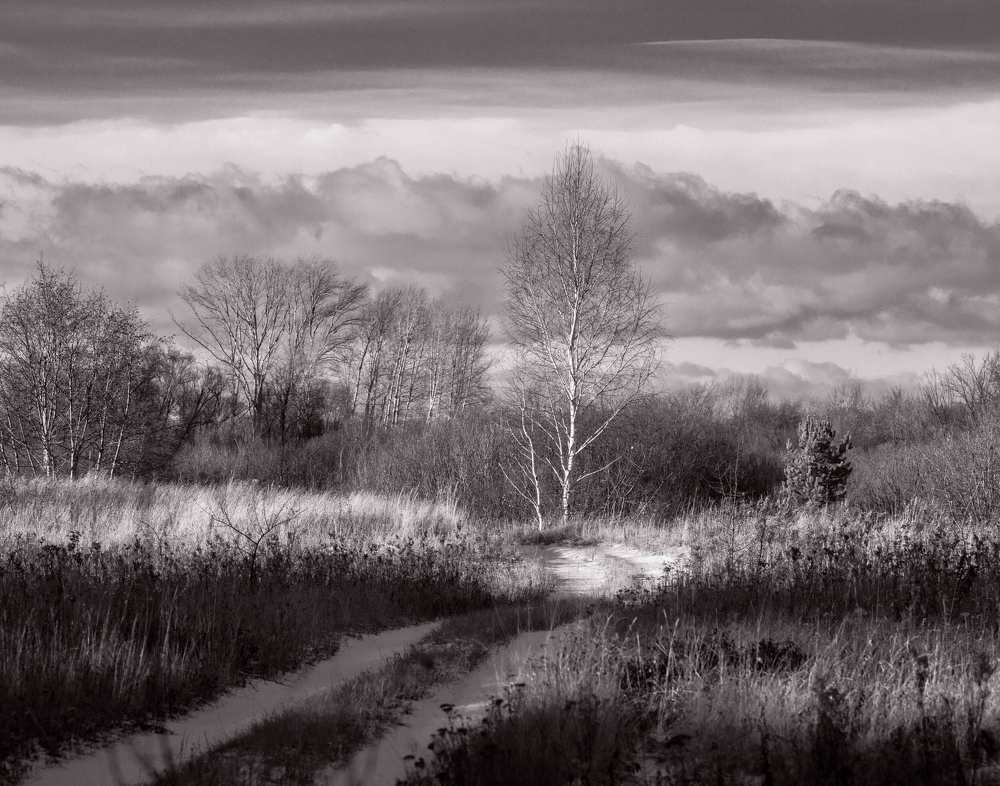 Photograph by Сергей Синягин