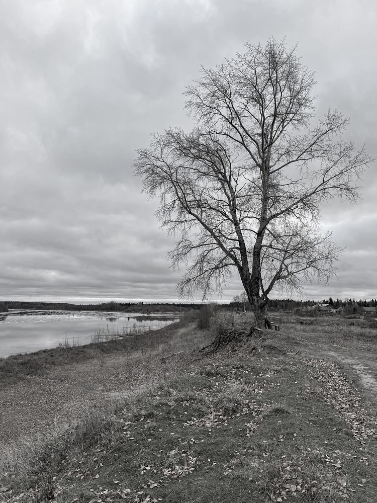 Photograph by Татьяна Ремизова