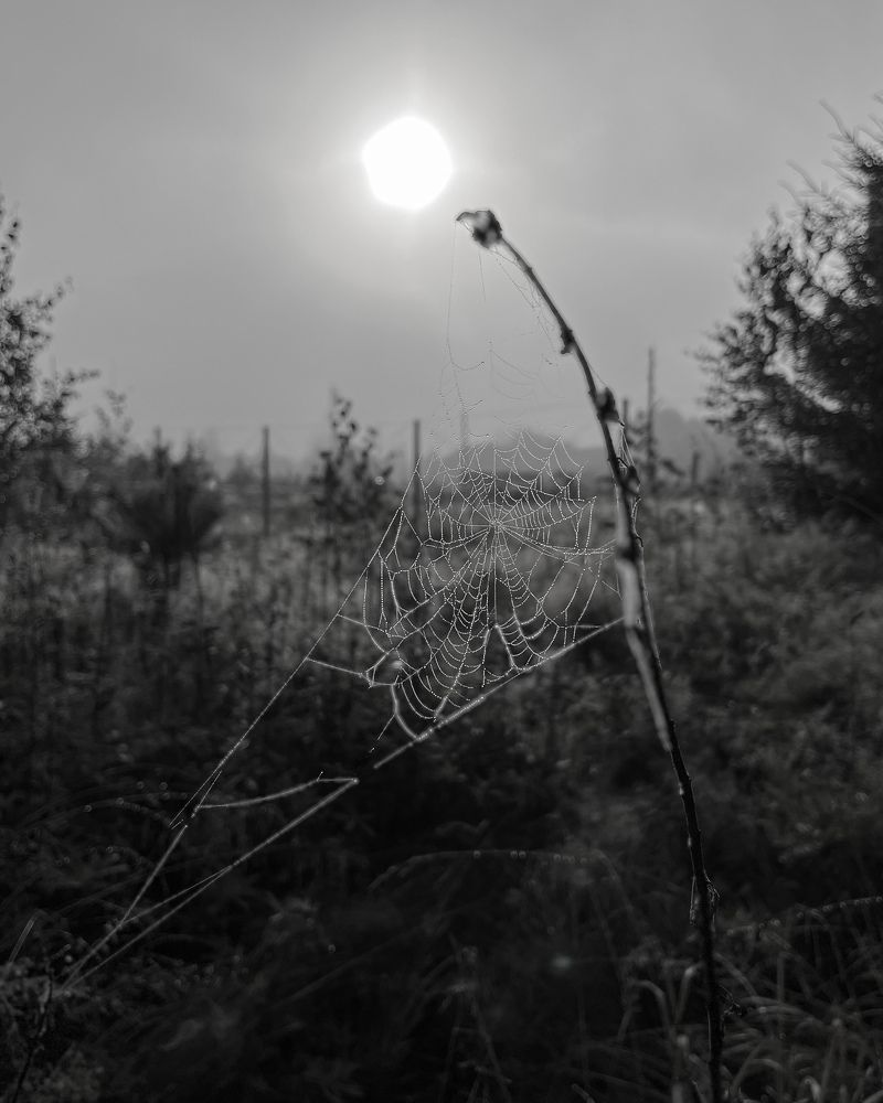 Photograph by Татьяна Ремизова