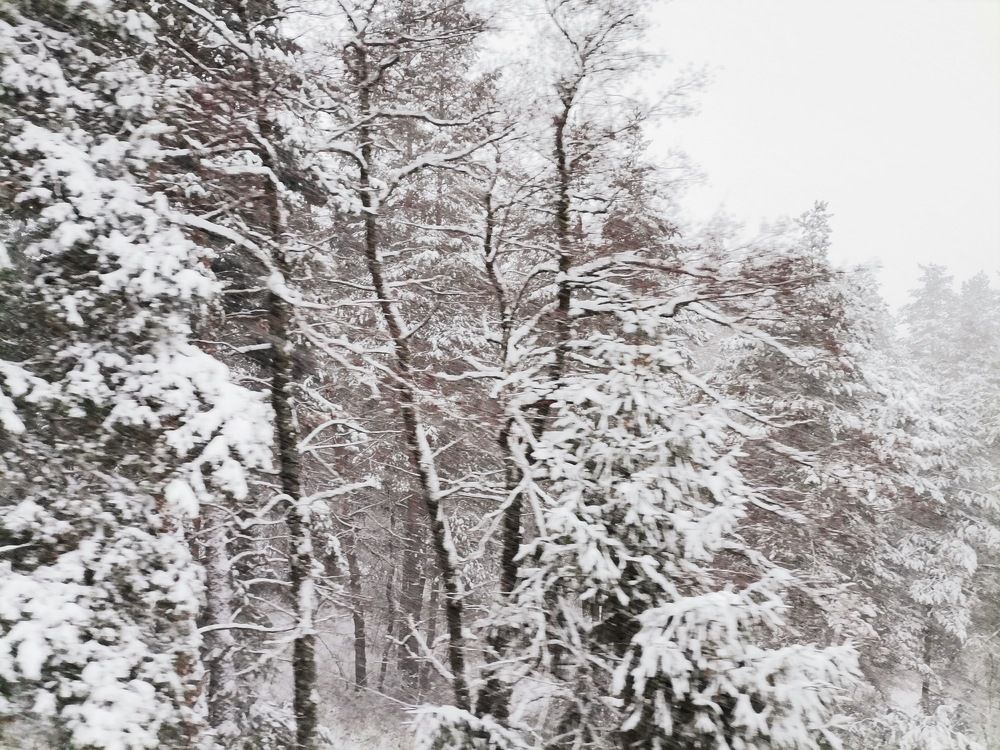 Фотография автора Stoyan Blagoev