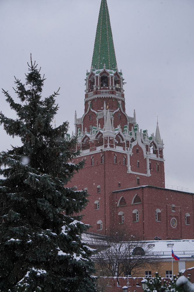 Photograph by Софья Архипова