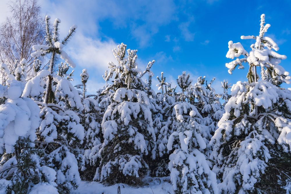 Photograph by Людмила Щепилова