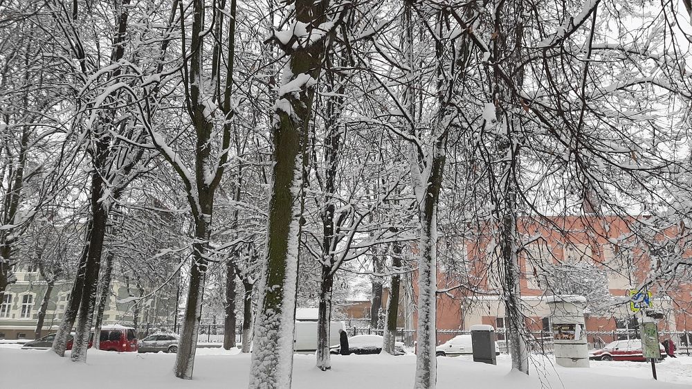 Photograph by Елизавета Иванова