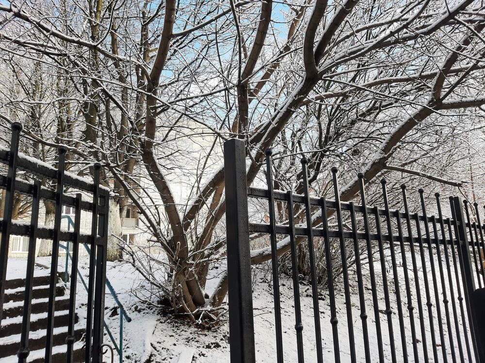 Photograph by Елизавета Иванова