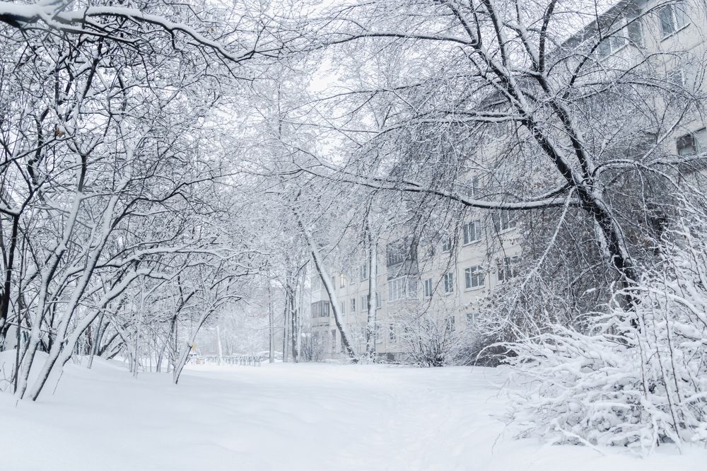 Photograph by Екатерина Бахтинова