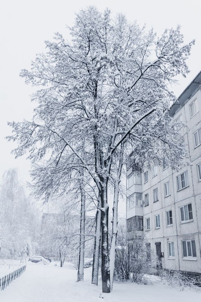 Photograph by Екатерина Бахтинова