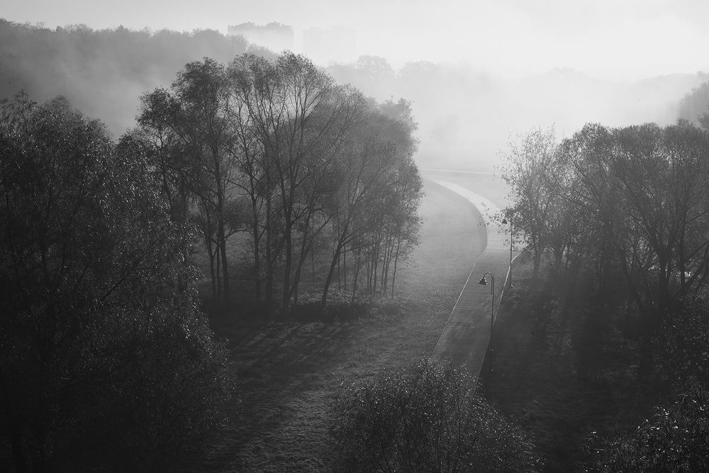 Photograph by Надежда Пухова