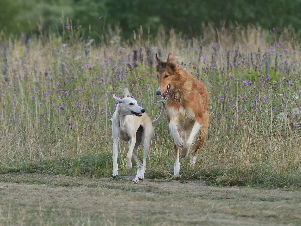 Photograph by Семен Батов