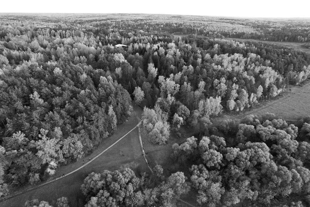 Photograph by Елена Март