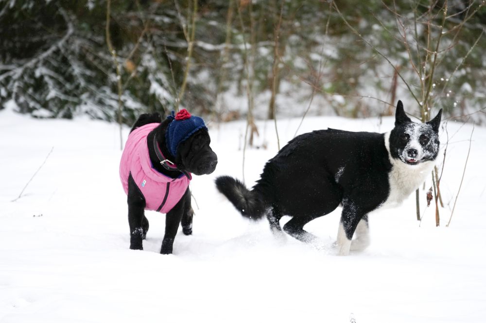 Photograph by Алексей Курносов