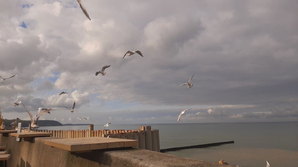 Photograph by Елизавета Иванова