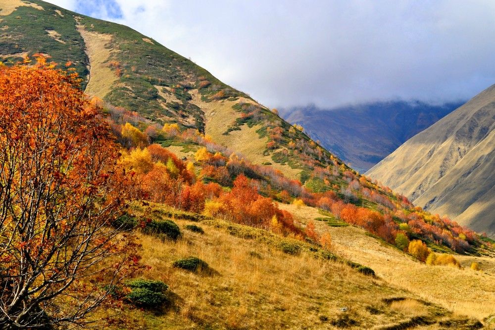 Фотография автора Шакая Виталик