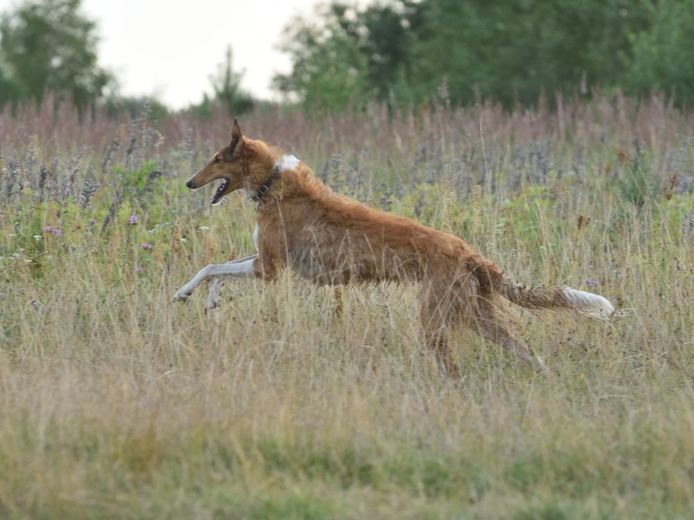 Photograph by Семен Батов