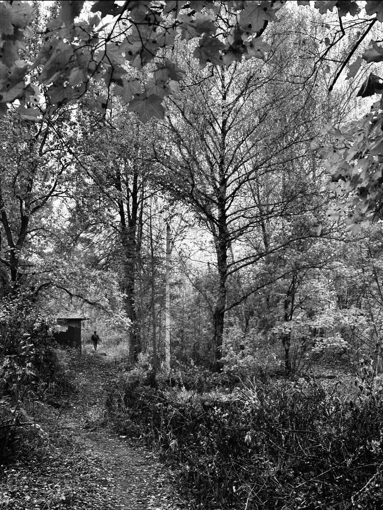 Photograph by Диана Бадеева