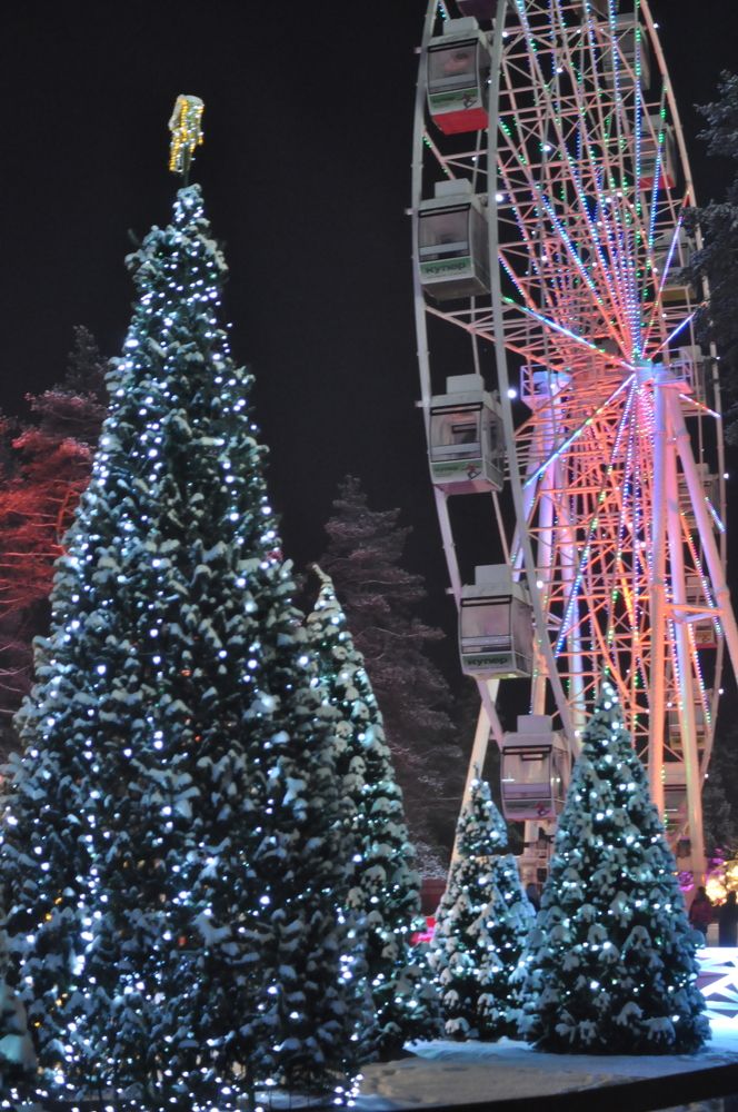 Photograph by Анурова Аля