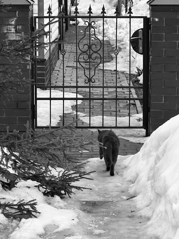 Photograph by Диана Бадеева