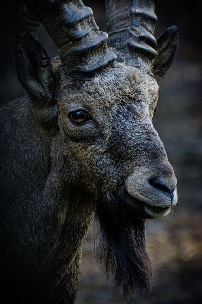 Photograph by Елена Берсенёва