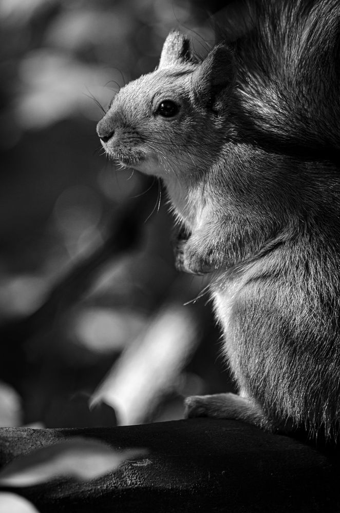 Photograph by Елена Берсенёва