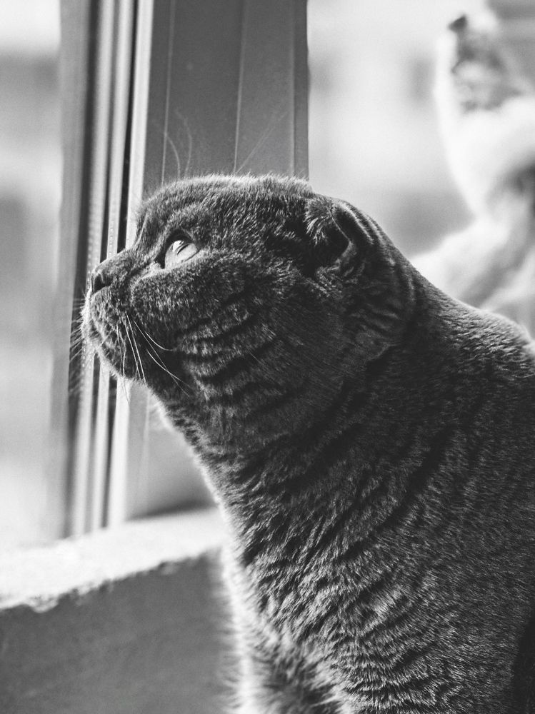 Photograph by Диана Бадеева