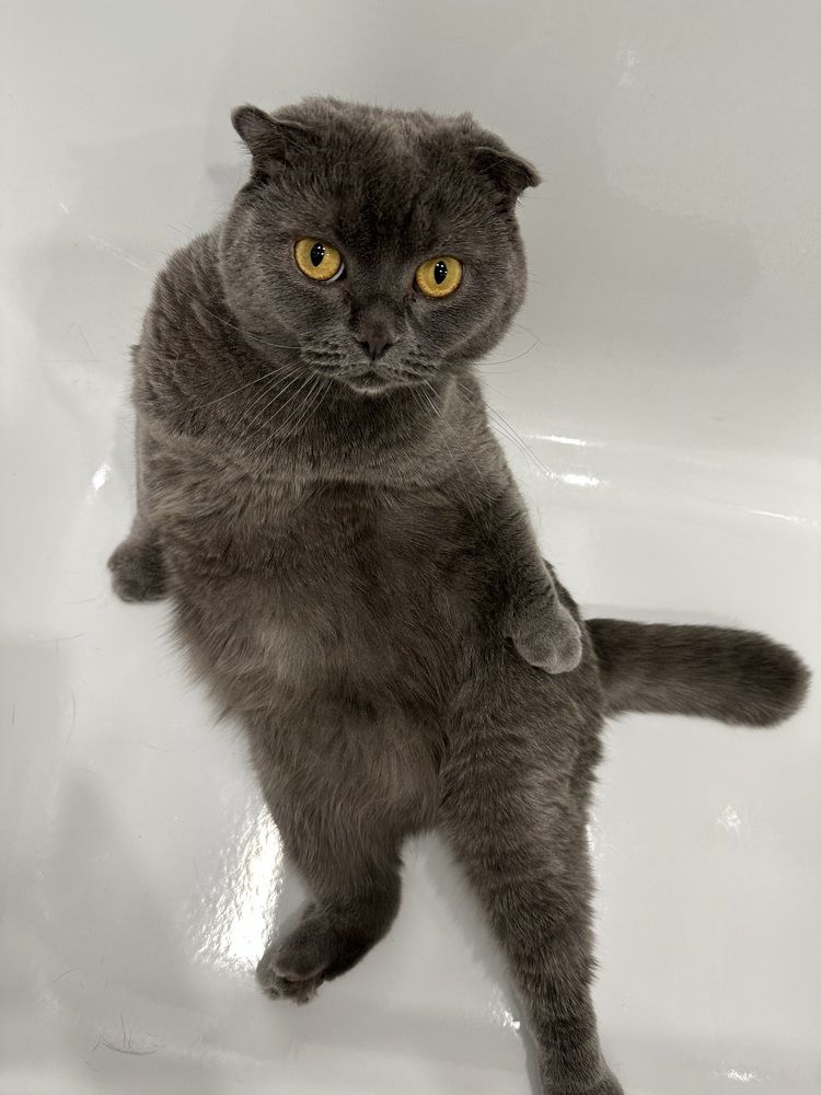 Photograph by Диана Бадеева