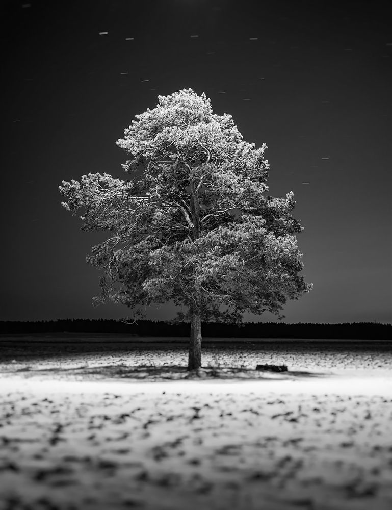 Фотография автора Igor Ferrum