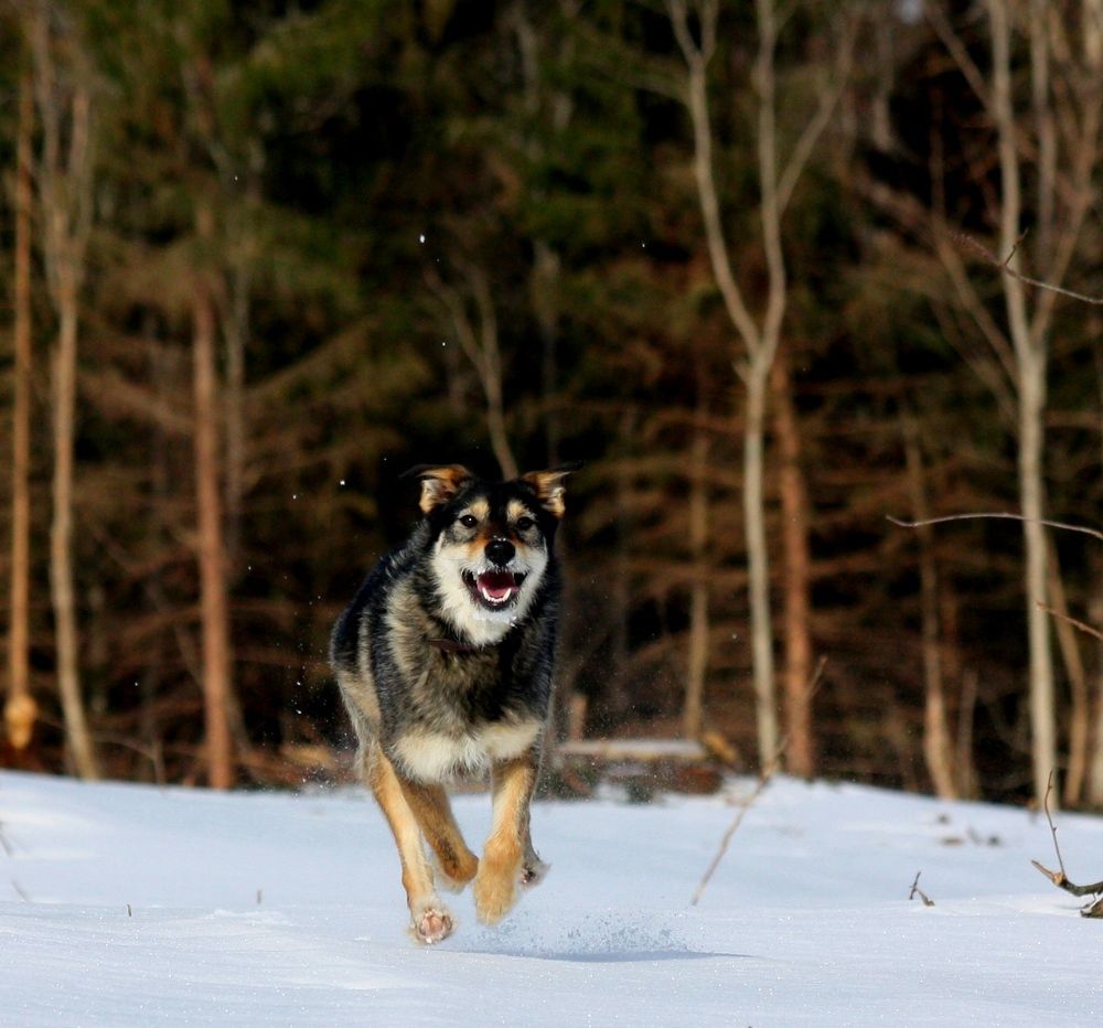 Photograph by Елена Смирнова