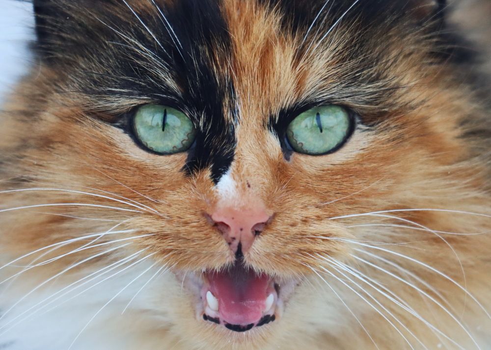 Photograph by Сергей Маслов