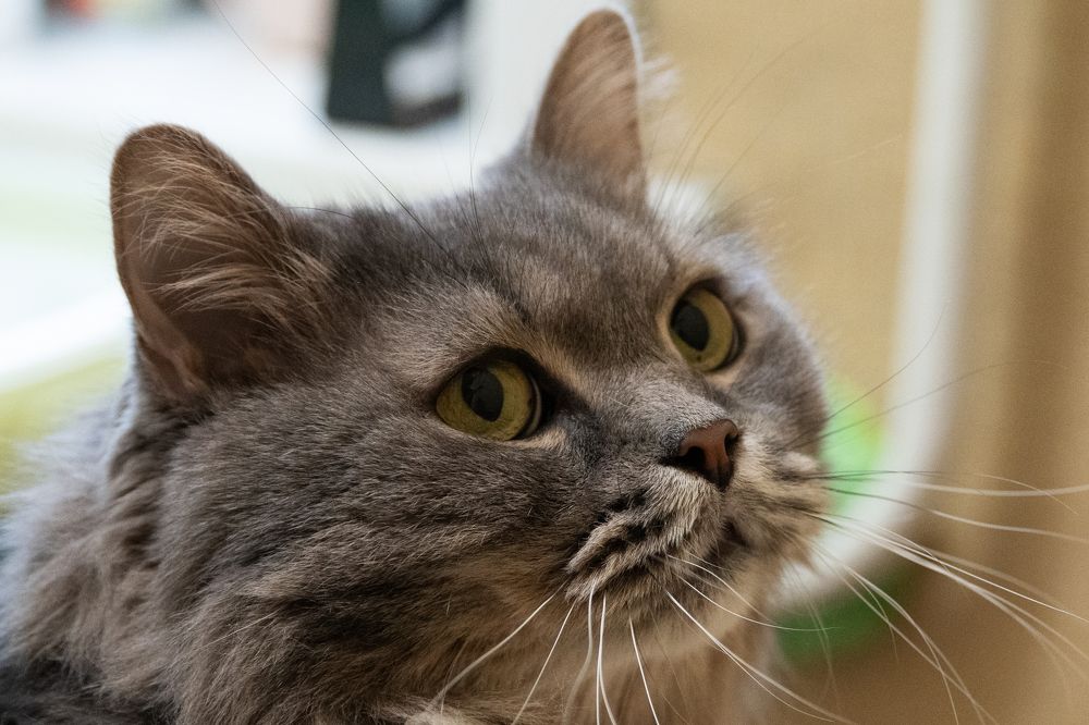 Photograph by Sergey Tyasto