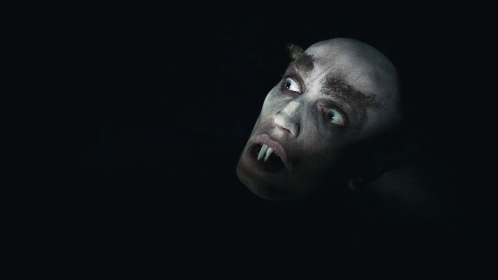 Photograph by Максим Томошев