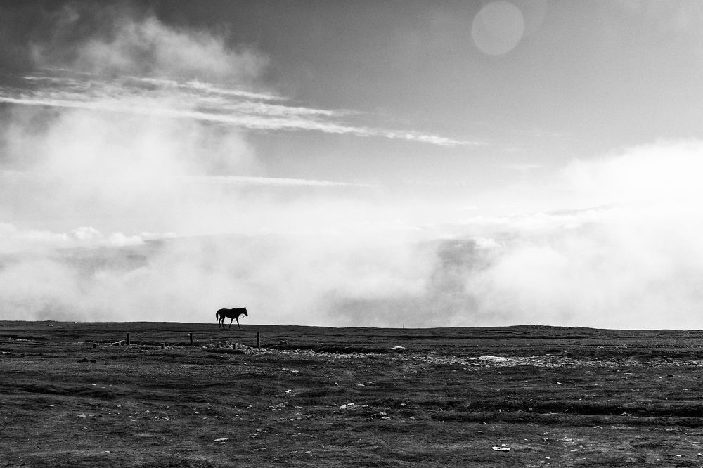 Photograph by Тимофей Овчинников