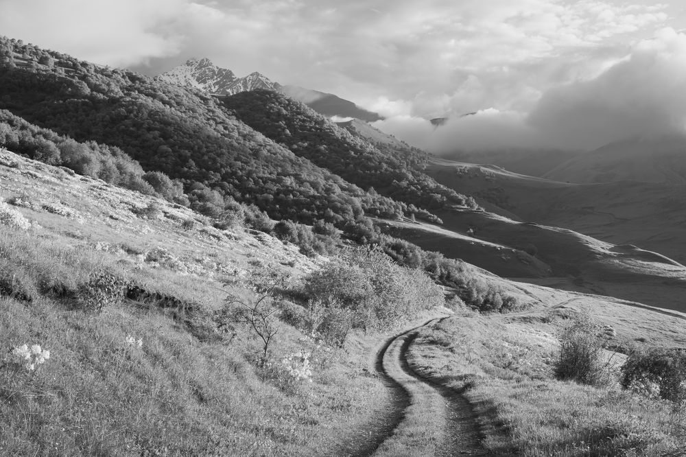 Photograph by Мария Казакова