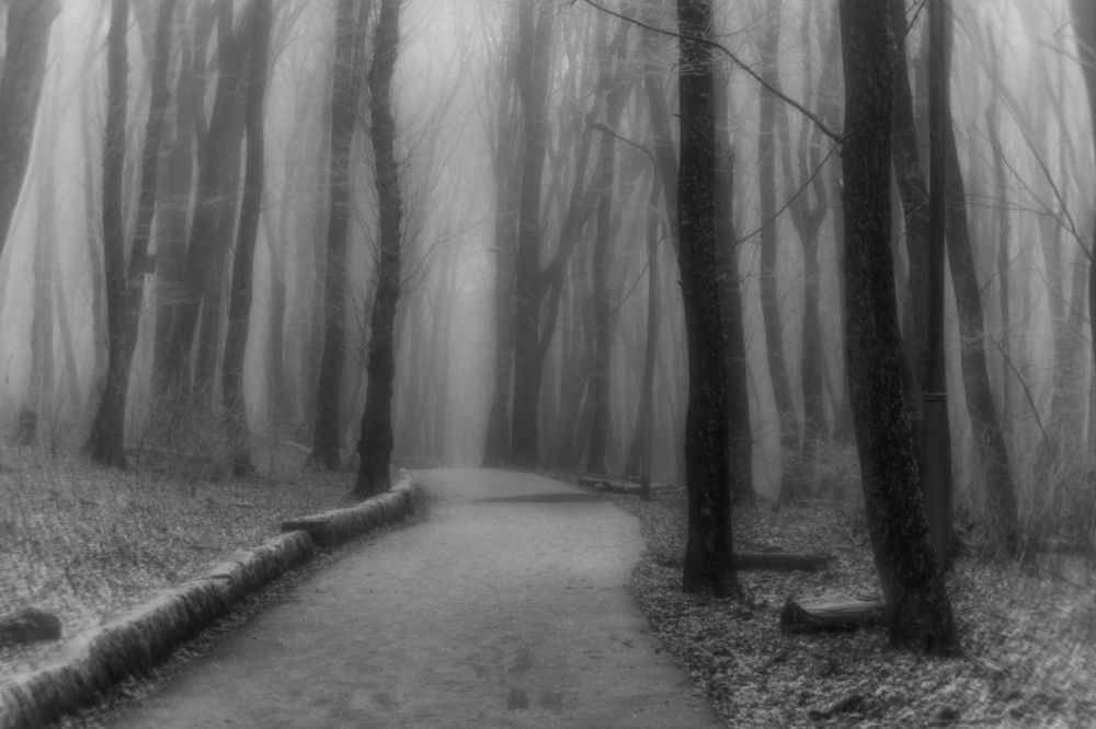 Photograph by Виталий Маслов