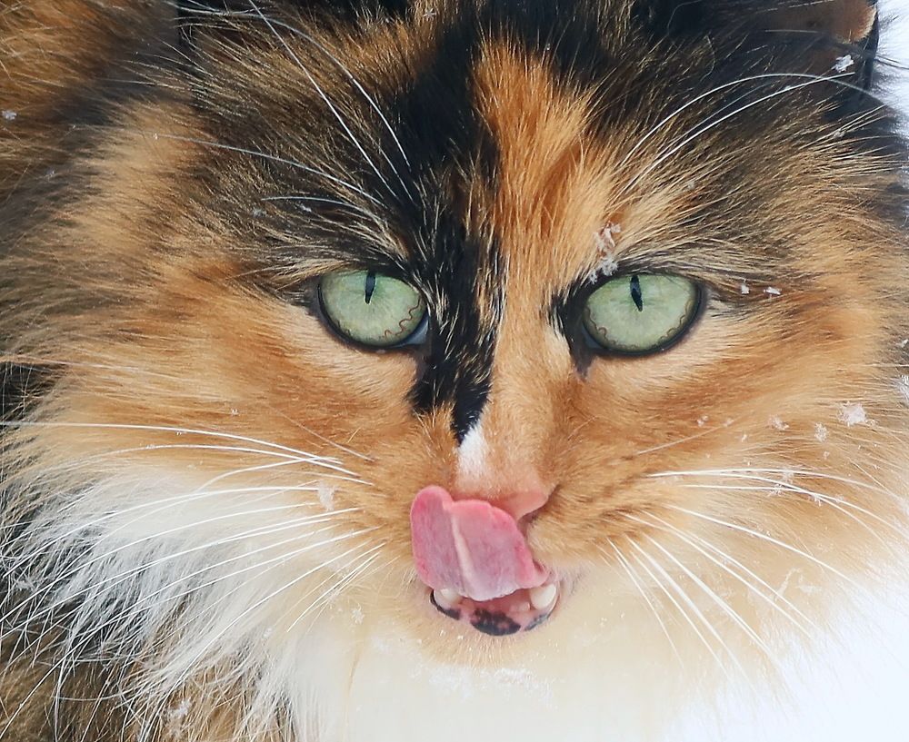 Photograph by Сергей Маслов