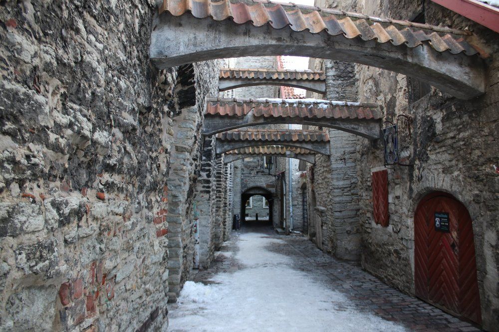 Фотография автора caroline martin (dony)