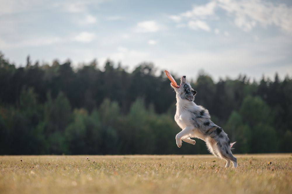 Photograph by Анастасия Жучкова