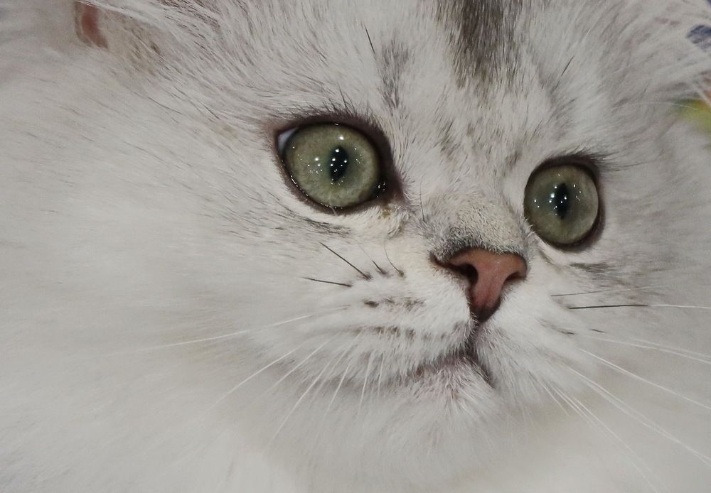 Photograph by Сергей Маслов