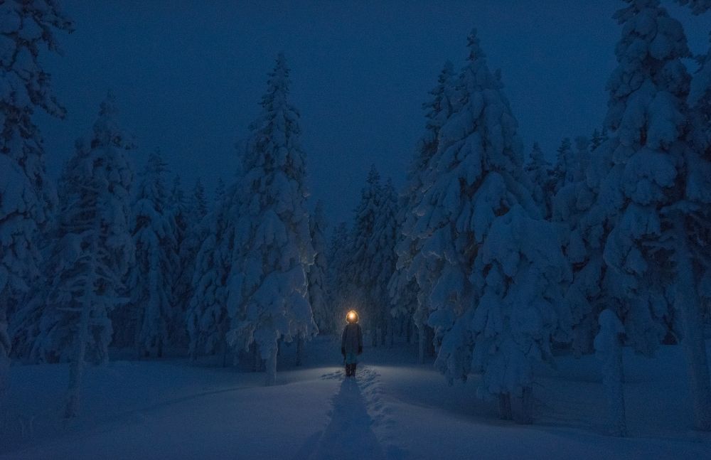 Фотография автора Алексей Проняхин