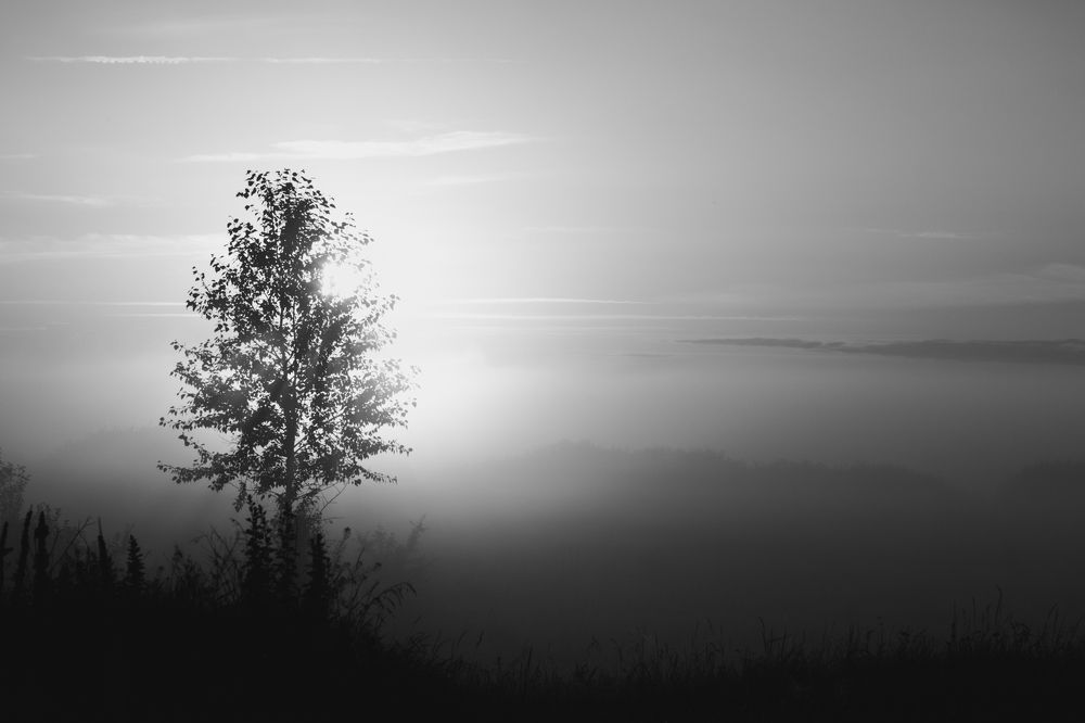 Photograph by Андрей Серый