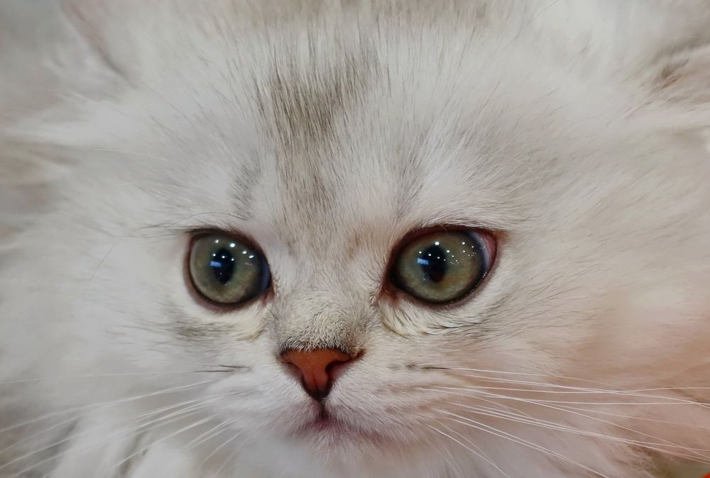 Photograph by Сергей Маслов