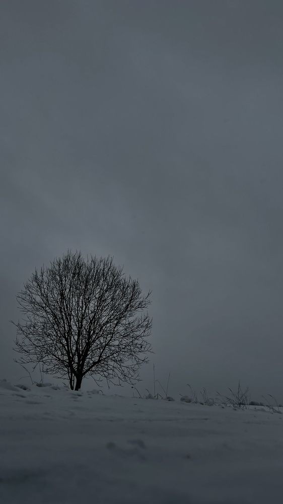 Photograph by Максим Азарчик