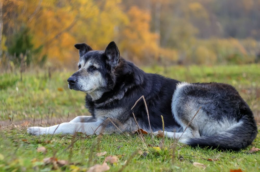 Photograph by Шутов Владимир