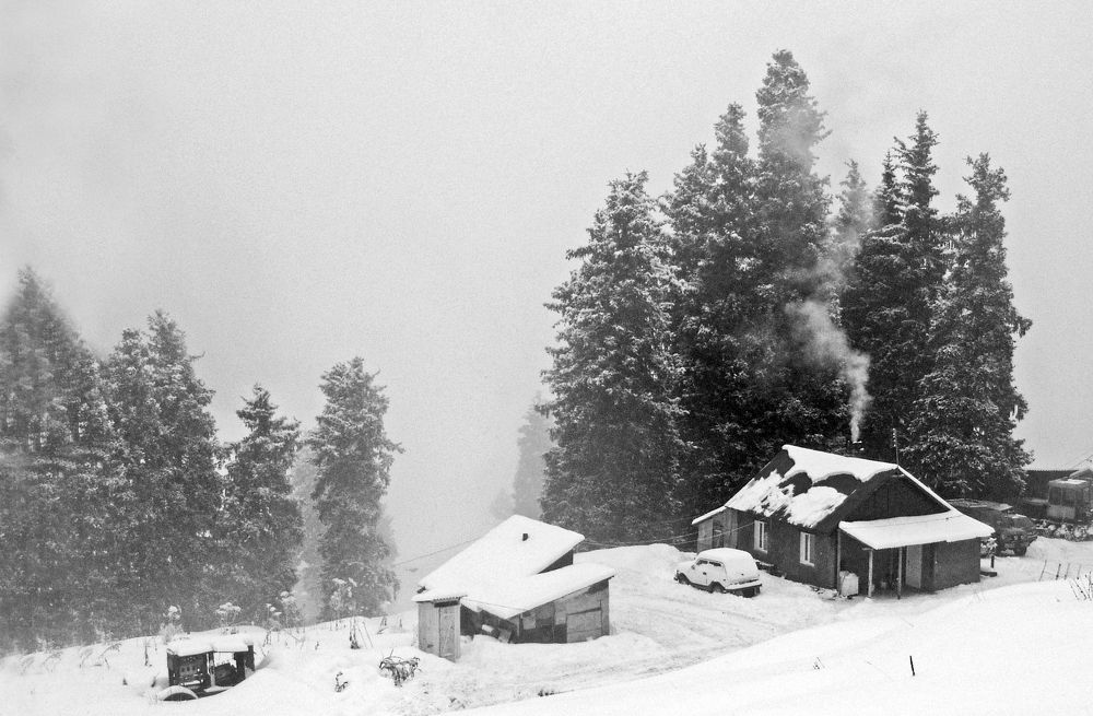 Photograph by Михаил Максимов