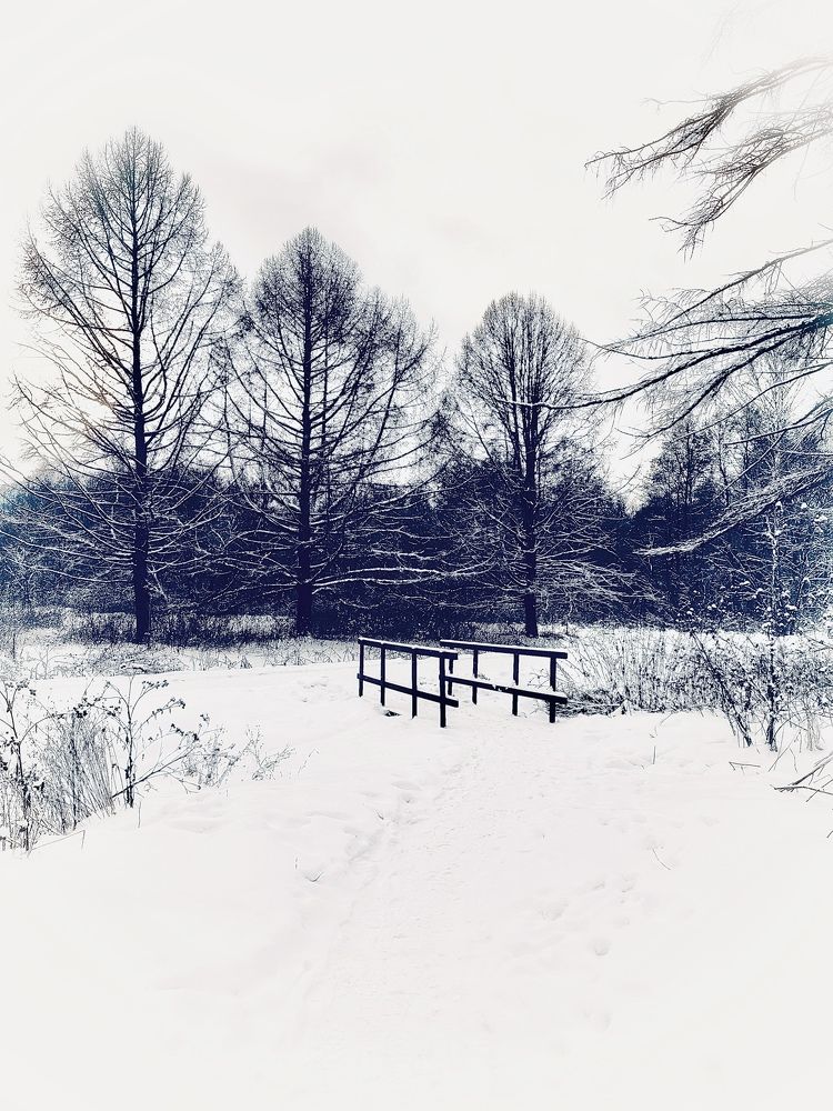 Photograph by Ольга Большакова