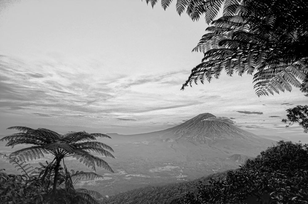 Photograph by Yafet Prayogo