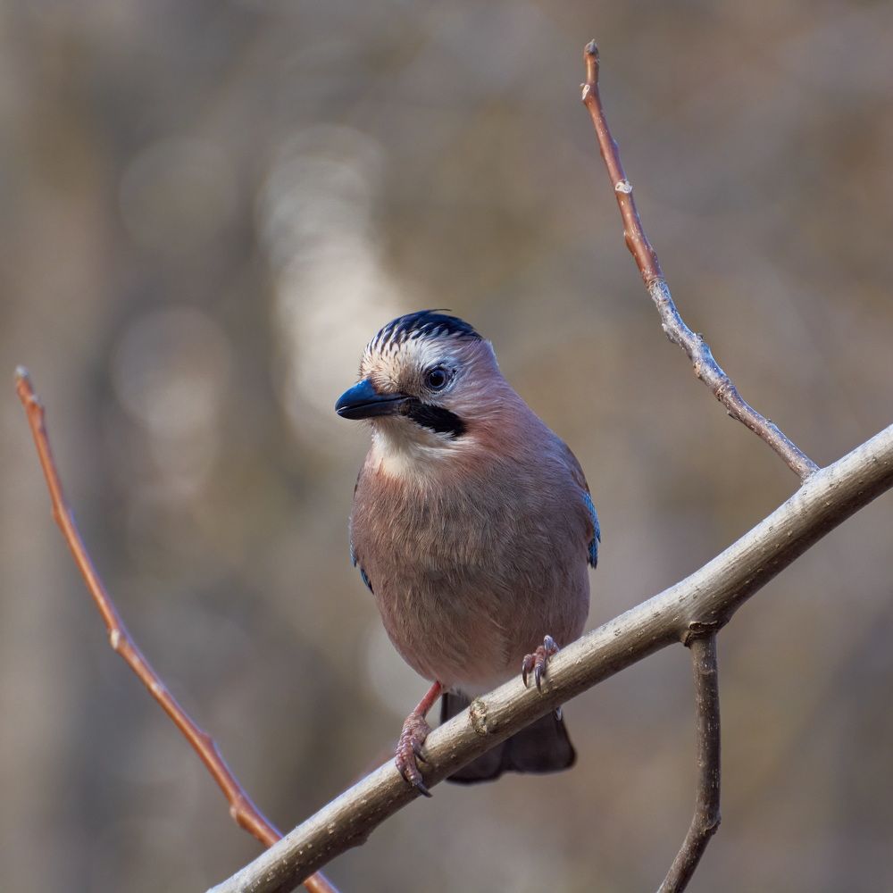 Photograph by Yaroslav